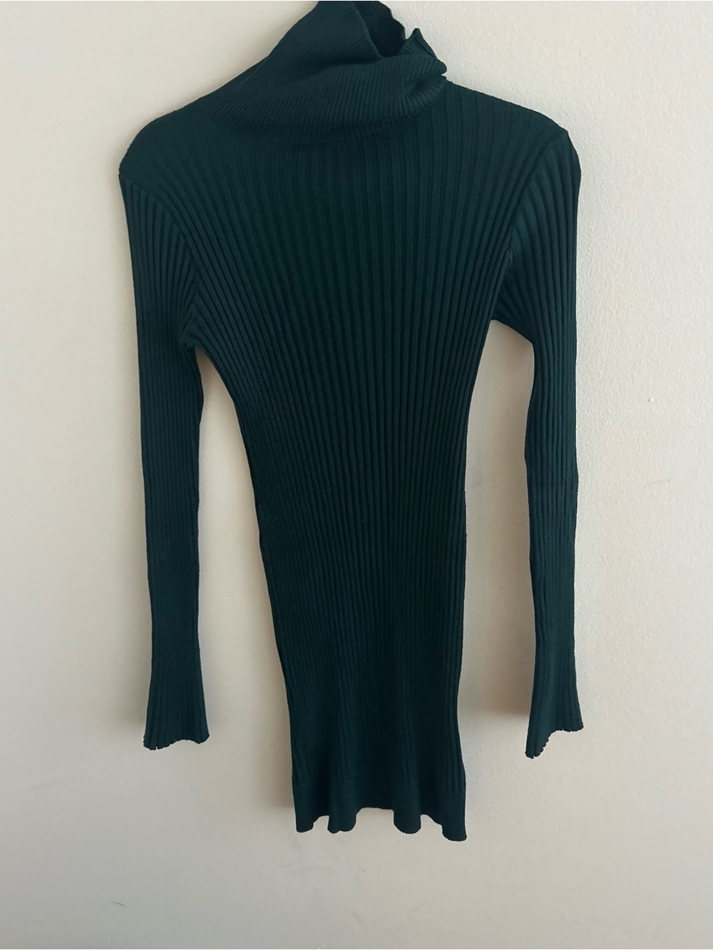Express Ribbed Long Sleeve Turtleneck Dress - Dark Green